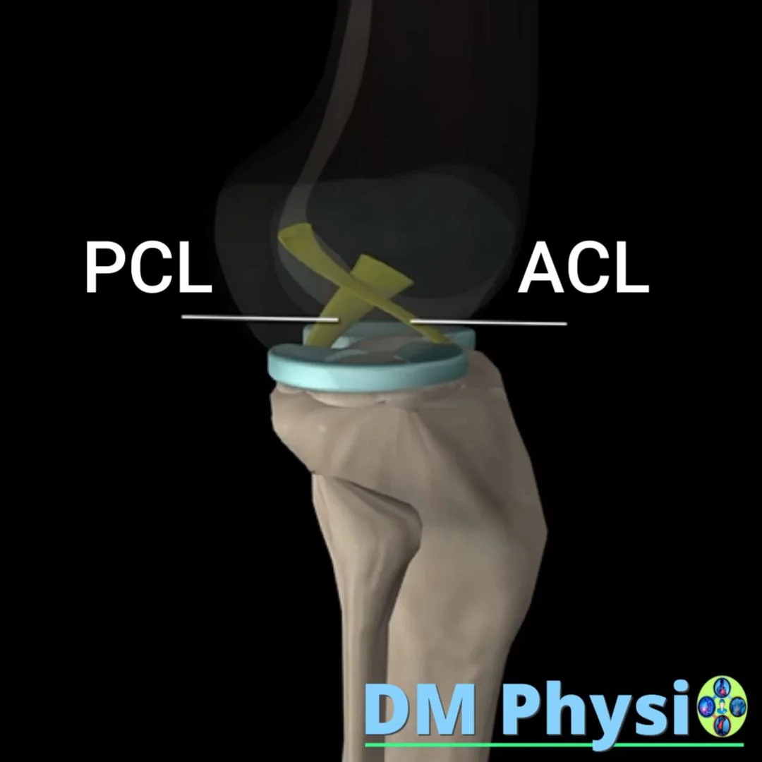 Видове колянни връзки